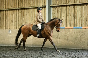 Isis Dressage Crown Farm Show 29th April 2012